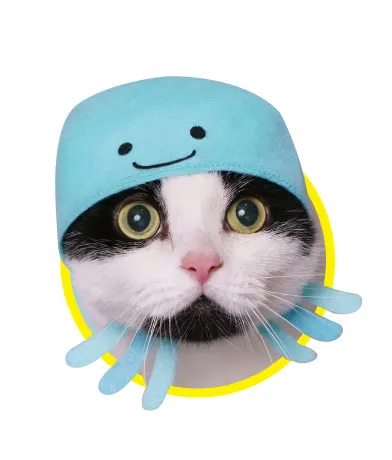 かわいい かわいい ねこの水族館2 ラインナップ 4