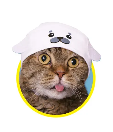 かわいい かわいい ねこの水族館2 ラインナップ 5