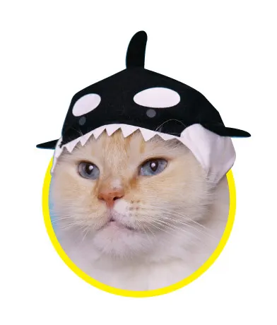 かわいい かわいい ねこの水族館2 ラインナップ 6