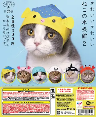 かわいい かわいい ねこの水族館２の画像