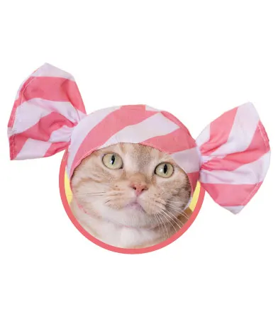 かわいい かわいい ねこキャンディちゃん ラインナップ 2