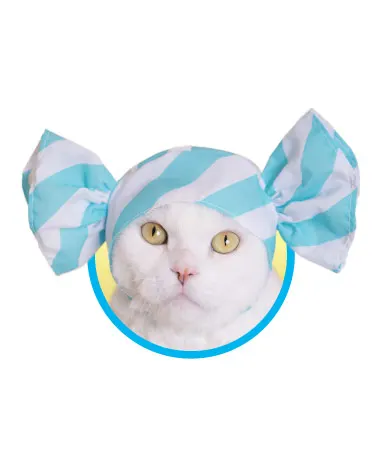 かわいい かわいい ねこキャンディちゃん ラインナップ 3