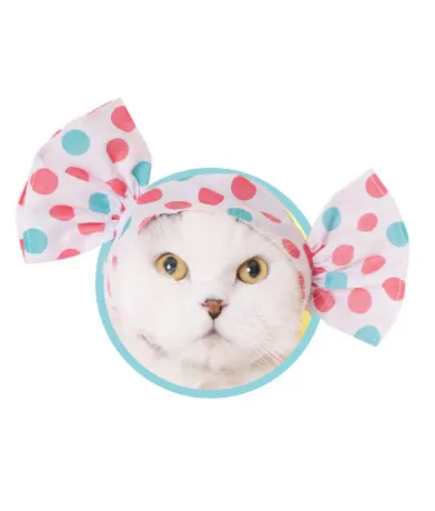 かわいい かわいい ねこキャンディちゃん ラインナップ 5