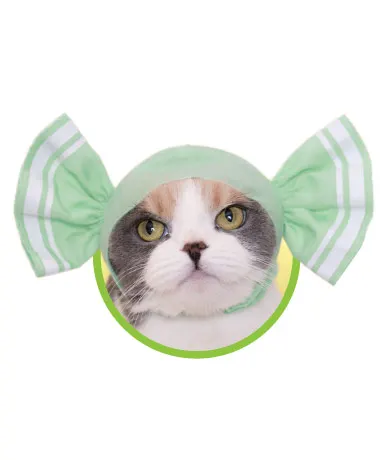 かわいい かわいい ねこキャンディちゃん ラインナップ 6