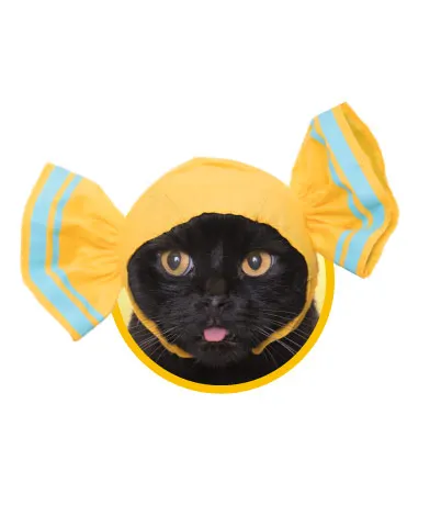 かわいい かわいい ねこキャンディちゃん ラインナップ 7