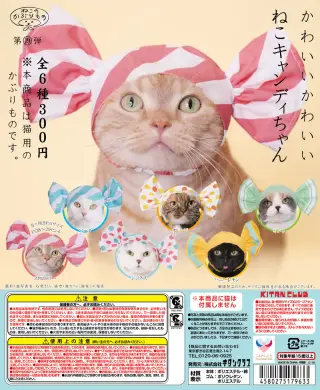 かわいい かわいい ねこキャンディちゃんの画像