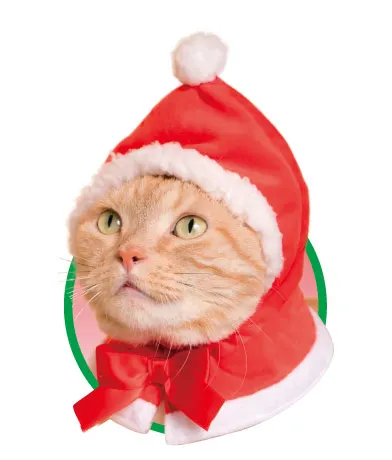 かわいい かわいい ねこクリスマスちゃん ラインナップ 2