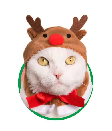 かわいい かわいい ねこクリスマスちゃん ラインナップ 3