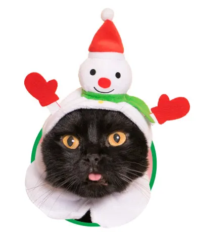 かわいい かわいい ねこクリスマスちゃん ラインナップ 4