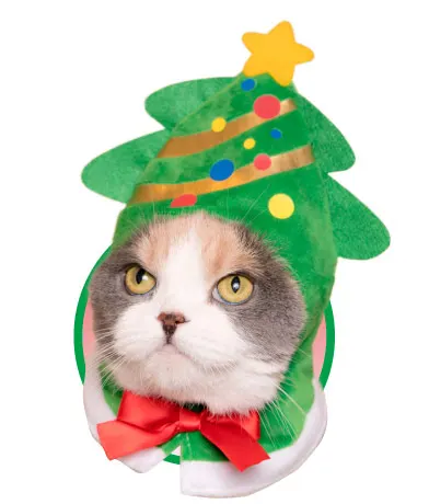 かわいい かわいい ねこクリスマスちゃん ラインナップ 5