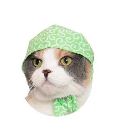 かわいい かわいい ねこ泥棒 〜ふんわり和カラー〜 ラインナップ 2