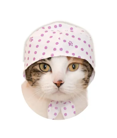 かわいい かわいい ねこ泥棒 〜ふんわり和カラー〜 ラインナップ 5