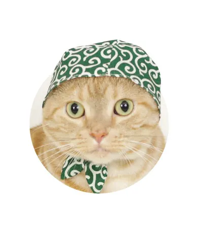 かわいい かわいい ねこ泥棒 ラインナップ 2