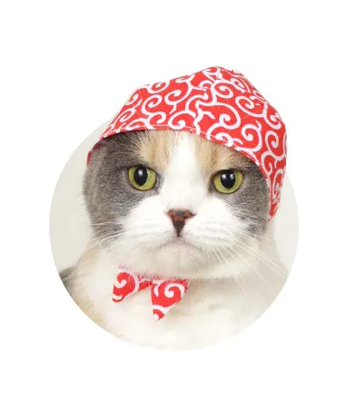かわいい かわいい ねこ泥棒 ラインナップ 3