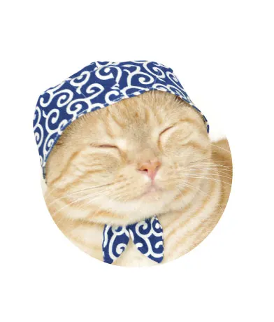 かわいい かわいい ねこ泥棒 ラインナップ 4