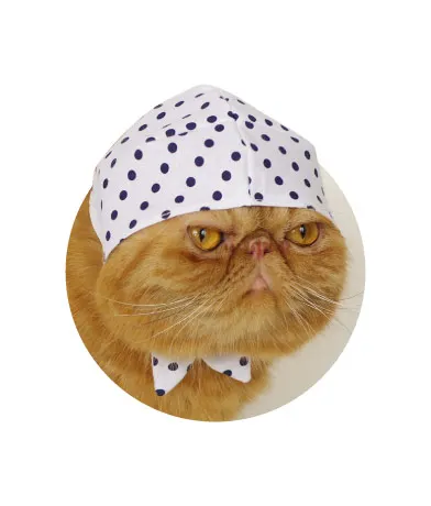 かわいい かわいい ねこ泥棒 ラインナップ 5