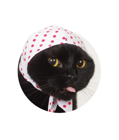 かわいい かわいい ねこ泥棒 ラインナップ 6