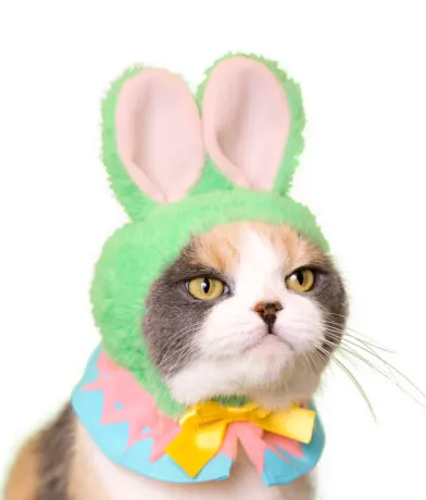 かわいい かわいい ねこイースターちゃん ラインナップ 3