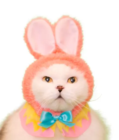 かわいい かわいい ねこイースターちゃん ラインナップ 4