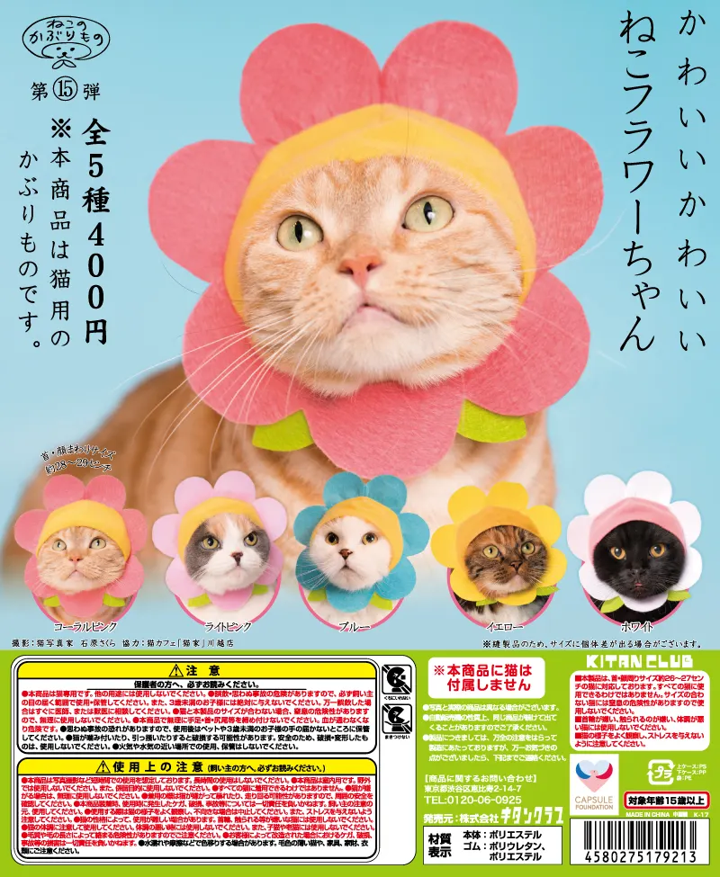 かわいい かわいい ねこフラワーちゃん(画像)