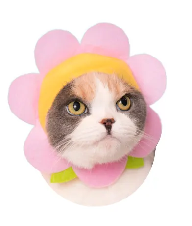 かわいい かわいい ねこフラワーちゃん ラインナップ 3