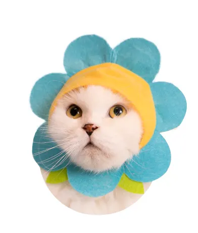 かわいい かわいい ねこフラワーちゃん ラインナップ 5