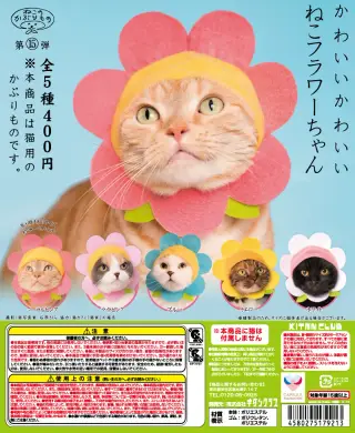 かわいい かわいい ねこフラワーちゃんの画像