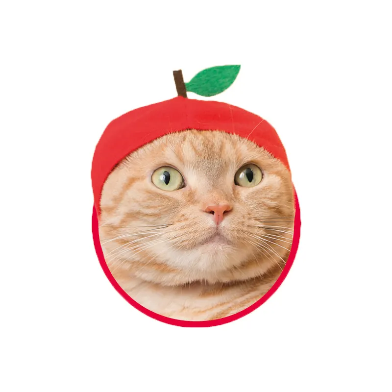 かわいい かわいい ねこフルーツちゃん ラインナップ 2