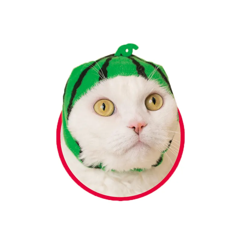 かわいい かわいい ねこフルーツちゃん ラインナップ 3