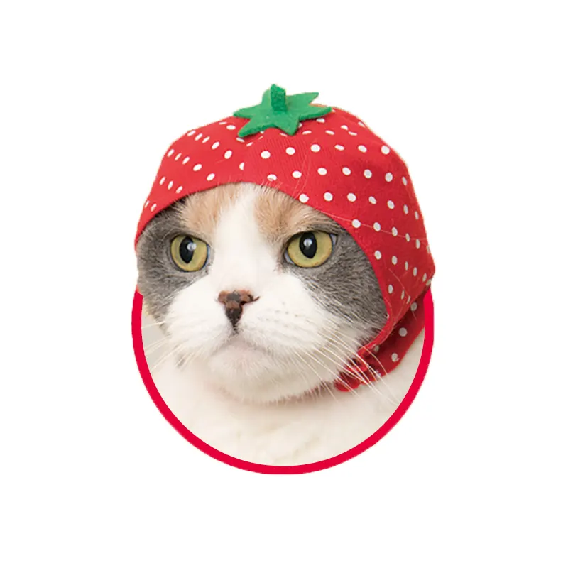 かわいい かわいい ねこフルーツちゃん ラインナップ 5