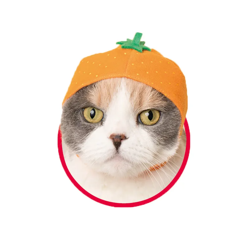 かわいい かわいい ねこフルーツちゃん ラインナップ 7