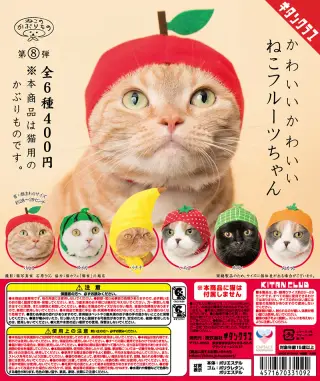 かわいい かわいい ねこフルーツちゃんの画像