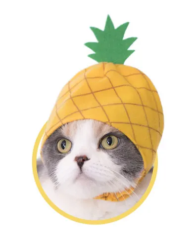 かわいい かわいい ねこフルーツちゃん2 ラインナップ 2