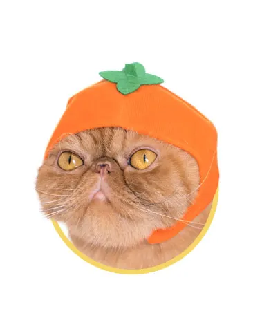 かわいい かわいい ねこフルーツちゃん2 ラインナップ 4