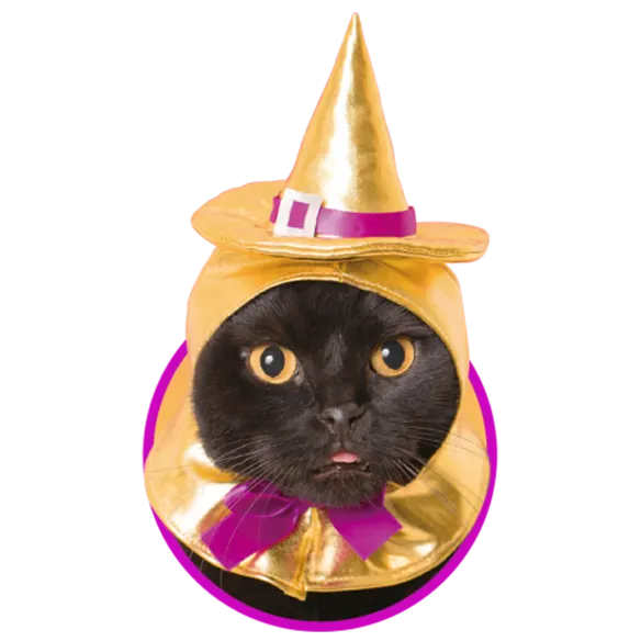 かわいい かわいい ねこハロウィンちゃん 〜パーティーカラー〜 ラインナップ 2