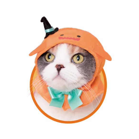かわいい かわいい ねこハロウィンちゃん 〜パーティーカラー〜 ラインナップ 5