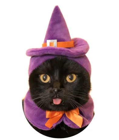 かわいい かわいい ねこハロウィンちゃん ラインナップ 2