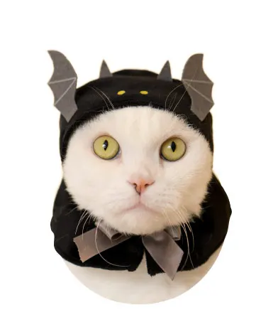 かわいい かわいい ねこハロウィンちゃん ラインナップ 4