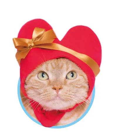 かわいい かわいい ねこハートちゃん ラインナップ 2