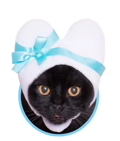 かわいい かわいい ねこハートちゃん ラインナップ 3