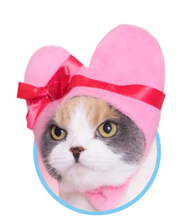 かわいい かわいい ねこハートちゃん ラインナップ 4