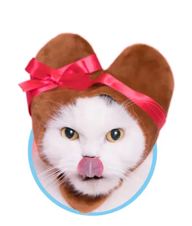 かわいい かわいい ねこハートちゃん ラインナップ 5