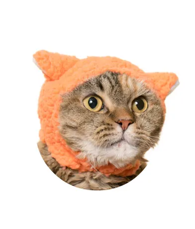 かわいい かわいい ねこひつじちゃん 〜ほっこり♡リラックスカラー〜 ラインナップ 6