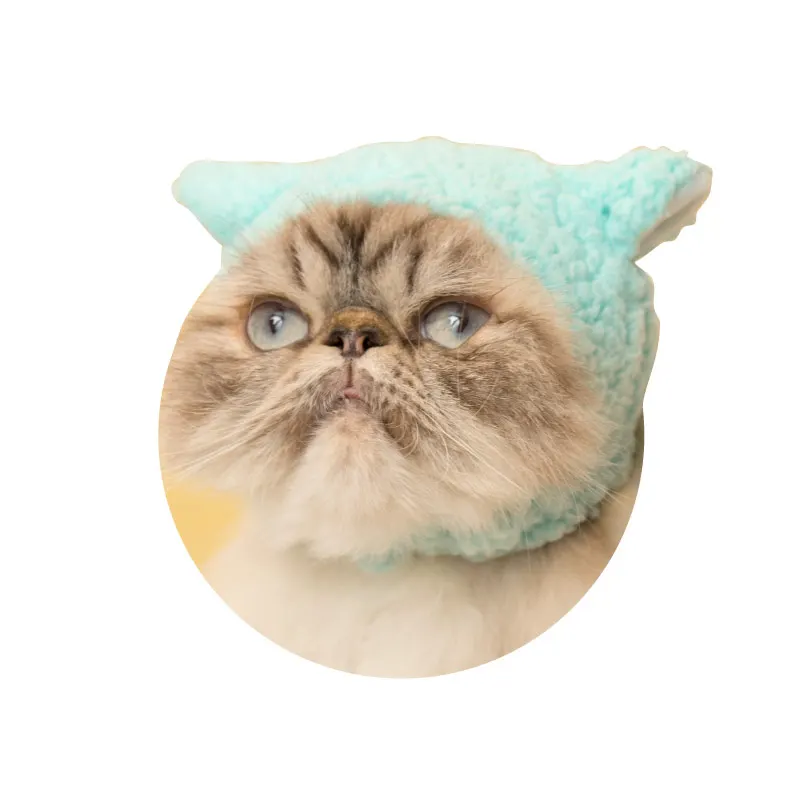 かわいい かわいい ねこひつじちゃん ラインナップ 5