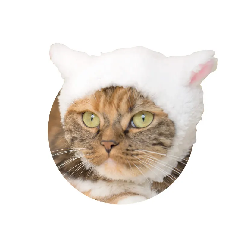かわいい かわいい ねこひつじちゃん ラインナップ 6