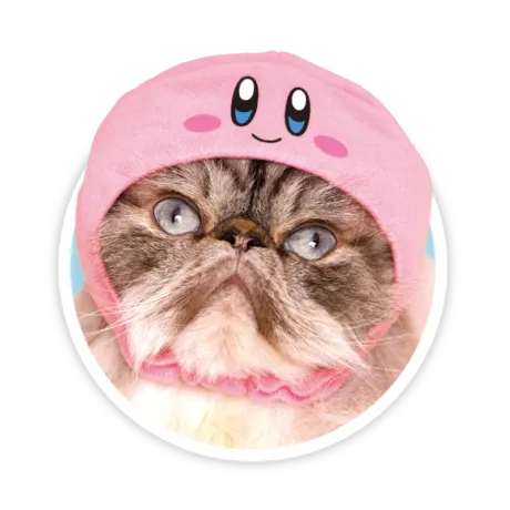 かわいい かわいい ねこのかぶりもの 星のカービィ ラインナップ 2