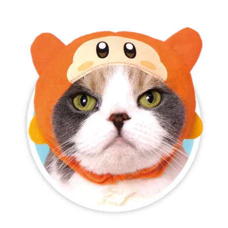かわいい かわいい ねこのかぶりもの 星のカービィ ラインナップ 4