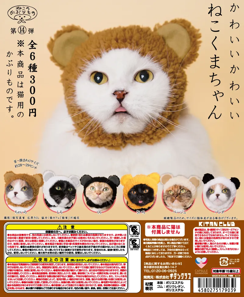 かわいい かわいい ねこくまちゃん(画像)