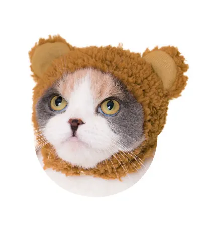 かわいい かわいい ねこくまちゃん ラインナップ 2