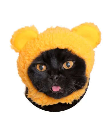 かわいい かわいい ねこくまちゃん ラインナップ 5